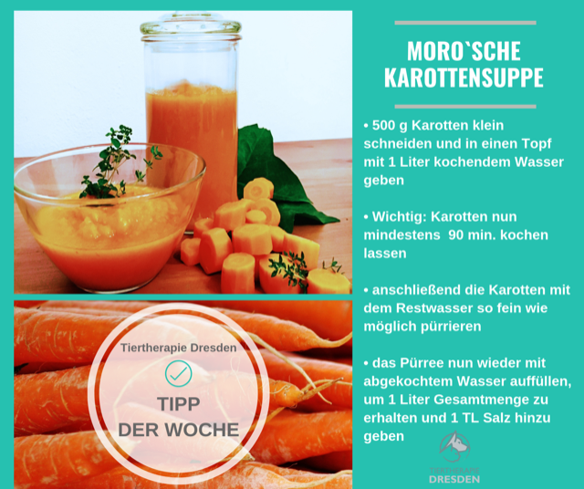 Morosche Karottensuppe.png